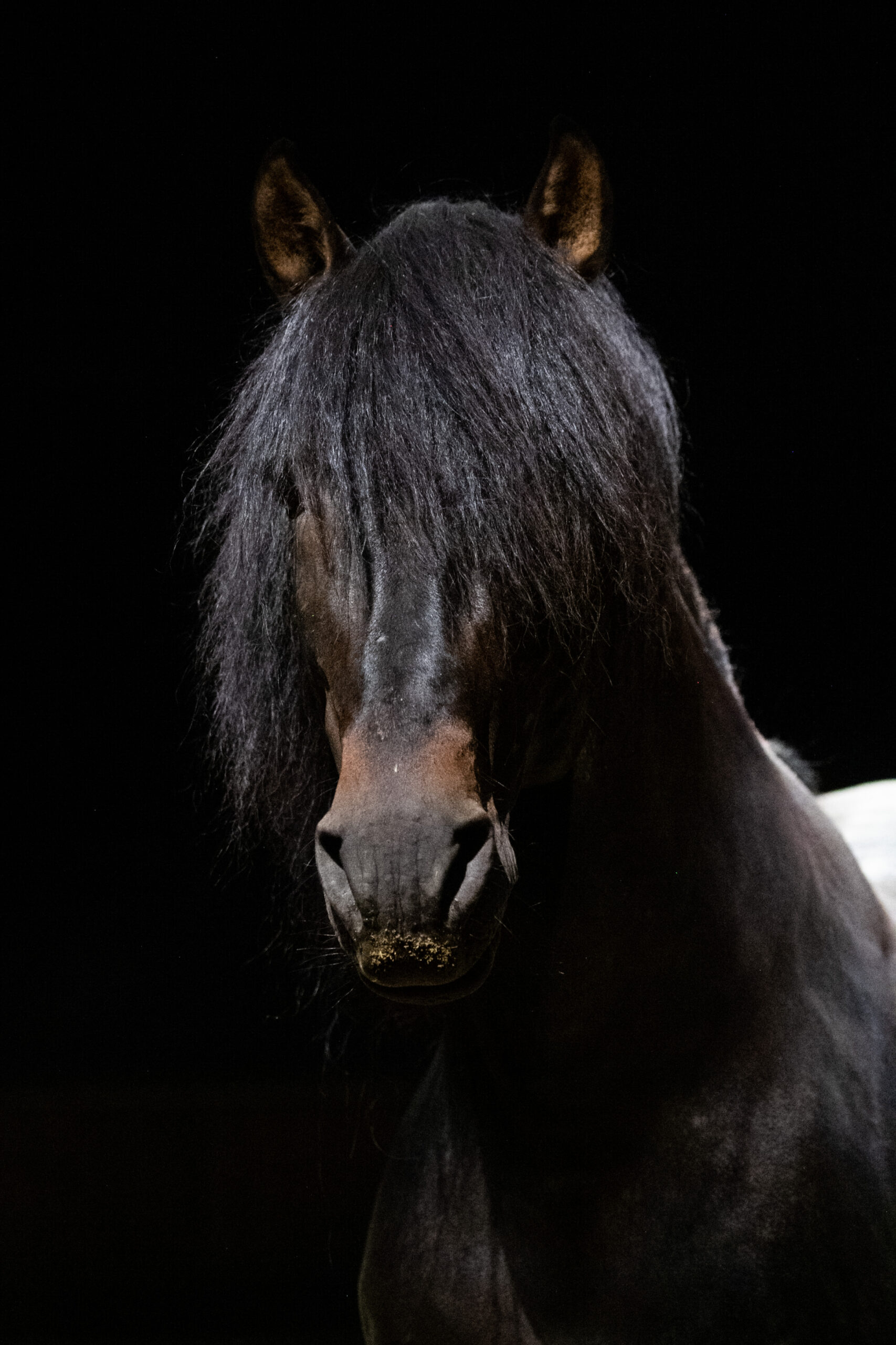 MIOURA