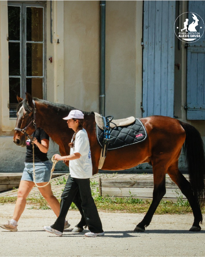 Equithérapie Piolenc